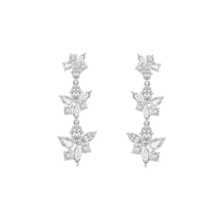 221E0328-01_Silver_large_dangle_earrings