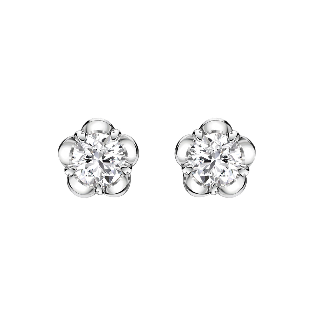 221E0446-01_Forget_me_not__flower_Sparkly_stud_earrings_minimal_Sterling_silver_and_Rhodium_Plated